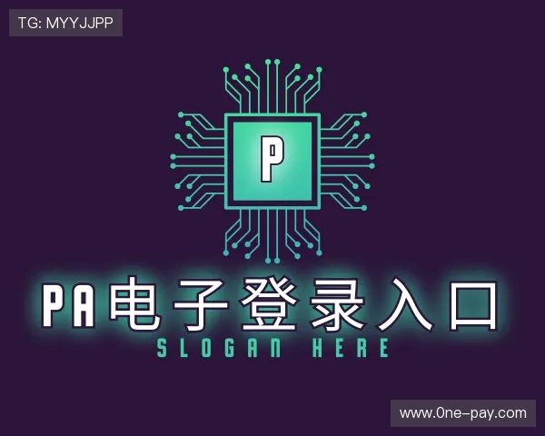 认识PA电子